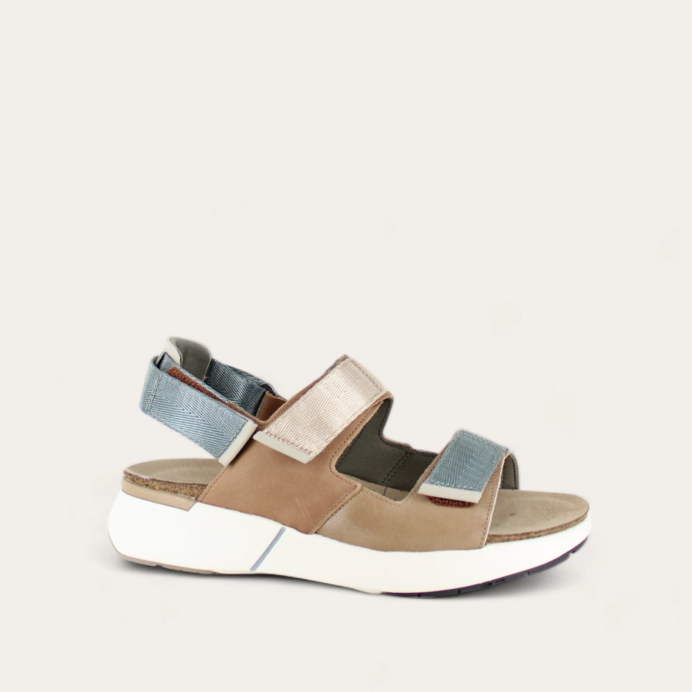 Arizona Tan Lthr/Latte Brown Lthr/Soft Ivory Lthr,35